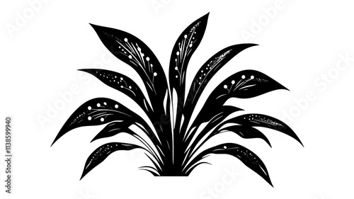 Prayer plant leaves folding upward at night, Plant Illustration