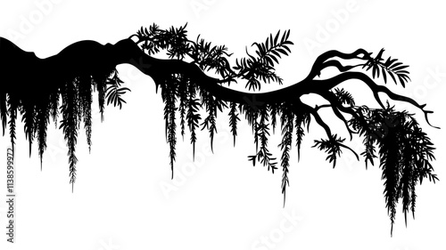 Resurrection fern growing on a tree branch in the forest, Plant Illustration