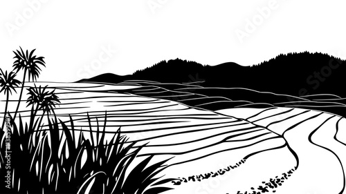 Rice paddies with plants growing in flooded terraces, Plant Illustration