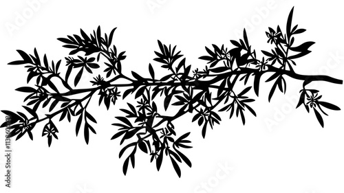 Rosemary plant with small flowers along woody stems, Plant Illustration
