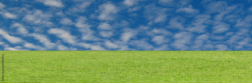 Green grass
