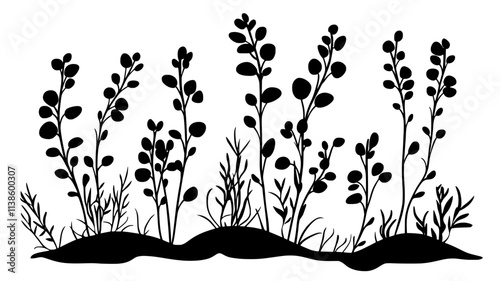 Saltbush plants in arid saline soil environments, Plant Illustration