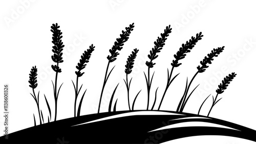 Sea lavender flowers in a coastal salt meadow, Plant Illustration