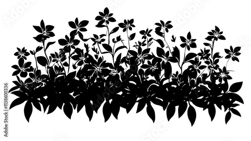 Sedum ground cover on a green roof of a building, Plant Illustration