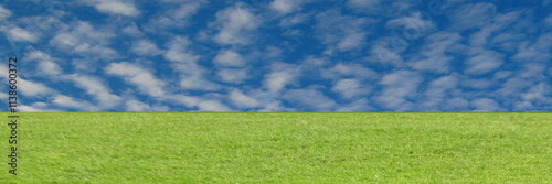 Obraz na płótnie Green grass w salonie