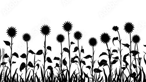 Sunflower heads nodding on tall stalks in a field, Plant Illustration