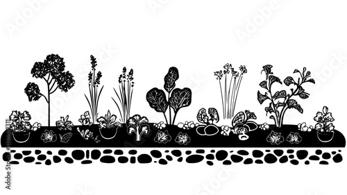 Vegetable garden with companion planting and mulched pathways, Plant Illustration
