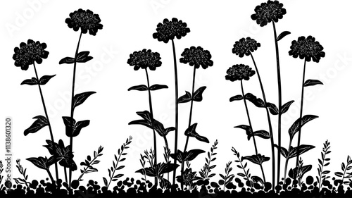 Verbena bonariensis with tall stems in a gravel border, Plant Illustration