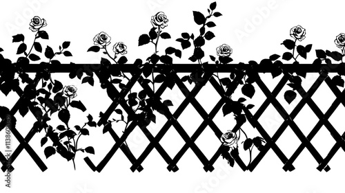 A view of a climbing rose vine growing on a trellis outdoors, Plant Illustration