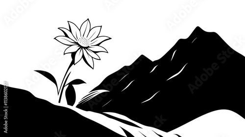 Edelweiss growing from crevice in rocky mountain face, Plant Vector Graphic