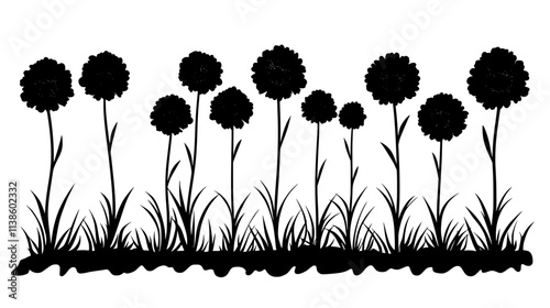 Field of cultivated carnations growing in rows outdoors, Plant Vector Graphic