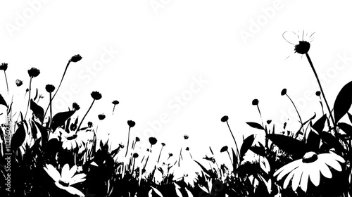A field of Shasta daisies growing naturally in an open outdoor space, Plant Vector Graphic