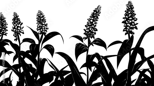 Ginger plants with flower spikes in a jungle clearing, Plant Vector Graphic