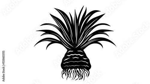 Ginger root with green shoots in tropical garden setting, Plant Vector Graphic