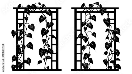 Golden pothos vine growing up a trellis indoors, Plant Vector Graphic