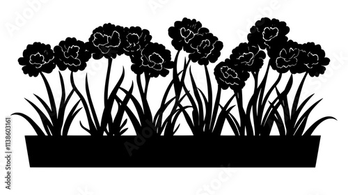 Group of carnation plants with grass-like foliage in a planter, Plant Vector Graphic