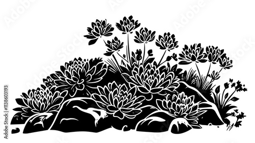 Sedum plants growing in a rock garden with surrounding perennials, Plant Vector Graphic