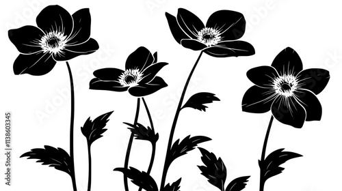 Hellebore flowers nodding in the winter shade garden, Plant Vector Graphic