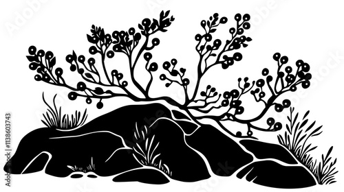 Juniper shrub with berries in a rock garden, Plant Vector Graphic