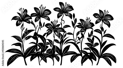 A lily patch featuring Oriental lilies blooming at various heights, Plant Vector Graphic