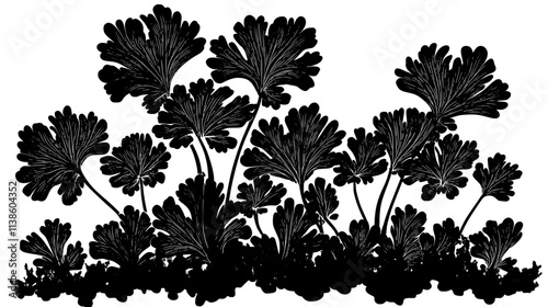 Liverwort with flat, leaf-like structure growing on moist soil surface, Plant Vector Graphic