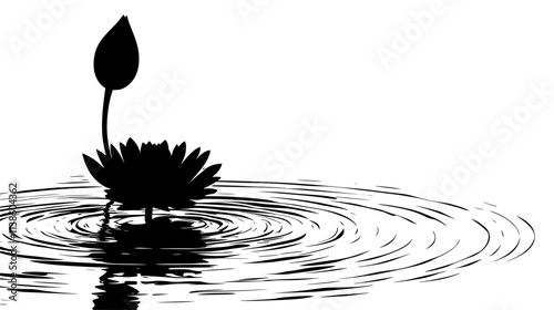 Lotus with circular leaves and seed pod rising above water, Plant Vector Graphic