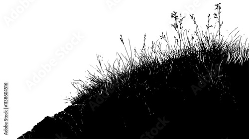 Moss covering rock surface with small, dense growth patterns visible, Plant Vector Graphic