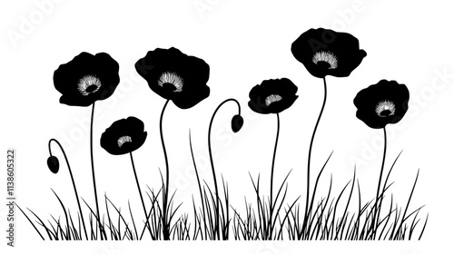 Poppy flowers with thin stems in a grassy meadow, Plant Vector Graphic