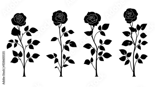 Rose bushes in rows at a commercial growing facility, Plant Vector Graphic