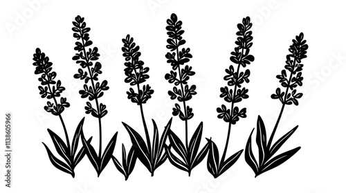 Sea lavender flowers in a coastal salt meadow, Plant Vector Graphic