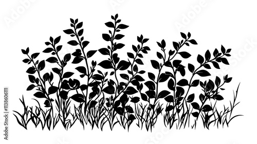 A shrub with small, cup-shaped flowers scattered across the foliage, Plant Vector Graphic