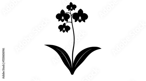 A single Dendrobium orchid growing from its thick green stalk, Plant Vector Graphic