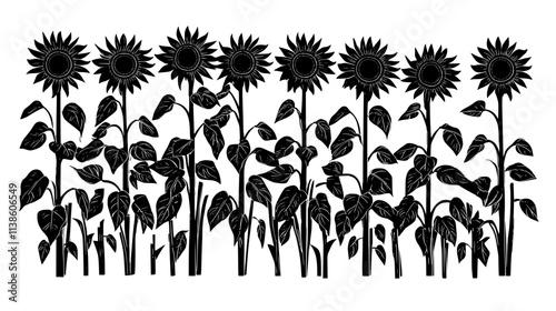Sunflower heads nodding on tall stalks in a field, Plant Vector Graphic