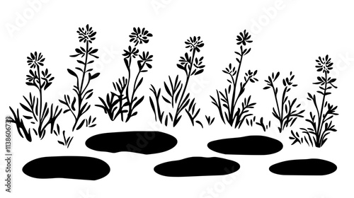 Thyme plants forming ground cover between stepping stones, Plant Vector Graphic