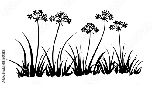 Yarrow plants flowering in a wild meadow setting, Plant Vector Graphic