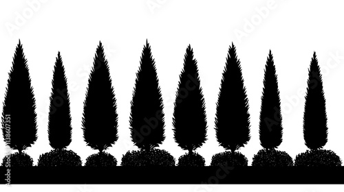 Yew topiary shapes in a formal garden, Plant Vector Graphic