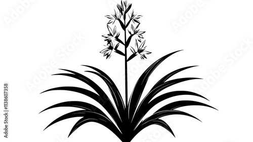 Yucca plant with a white flower spike among blade-like leaves, Plant Vector Graphic