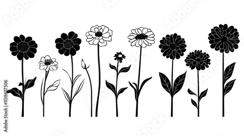 Zinnia patch with a variety of flower shapes, Plant Vector Graphic