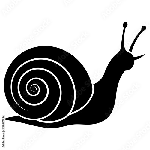 snail on white background