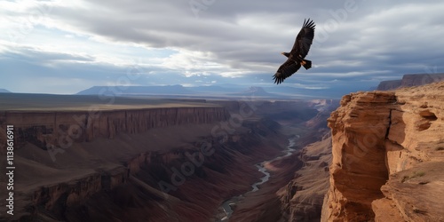 An eagle magnificently flies above a breathtaking canyon, highlighting its grandeur in the vast open skies. photo