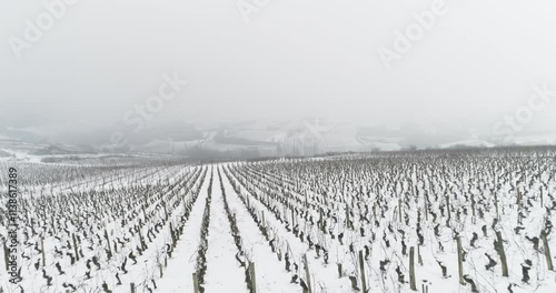 Plan aérien drone de survol des vigne de Bourgogne en hiver sous la neige dans le brouillard