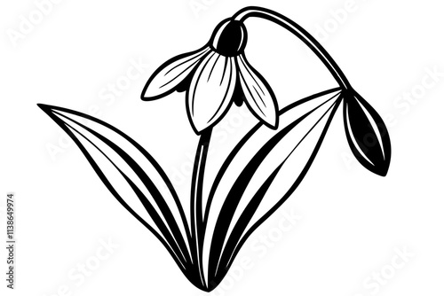 Elegant Line Silhouette Drawing of a Snowdrop Flower Minimalist Art