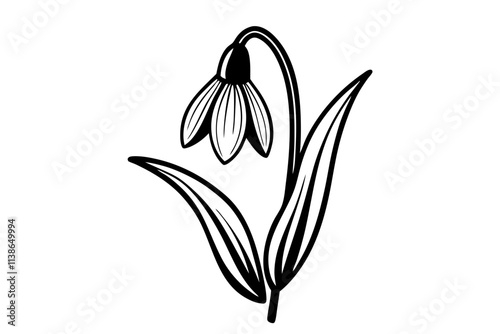 Elegant Line Silhouette Drawing of a Snowdrop Flower Minimalist Art