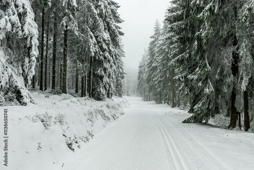 Winterwanderung durch den Thüringer Wald bei Oberhof und dem Kanzlersgrund bei winterlichen Wetter - Thüringen - Deutschland Winterwanderung durch den Thüringer Wald bei Oberhof und dem Kanzlersgrund bei winterlichen Wetter - Thüringen - Deutschland