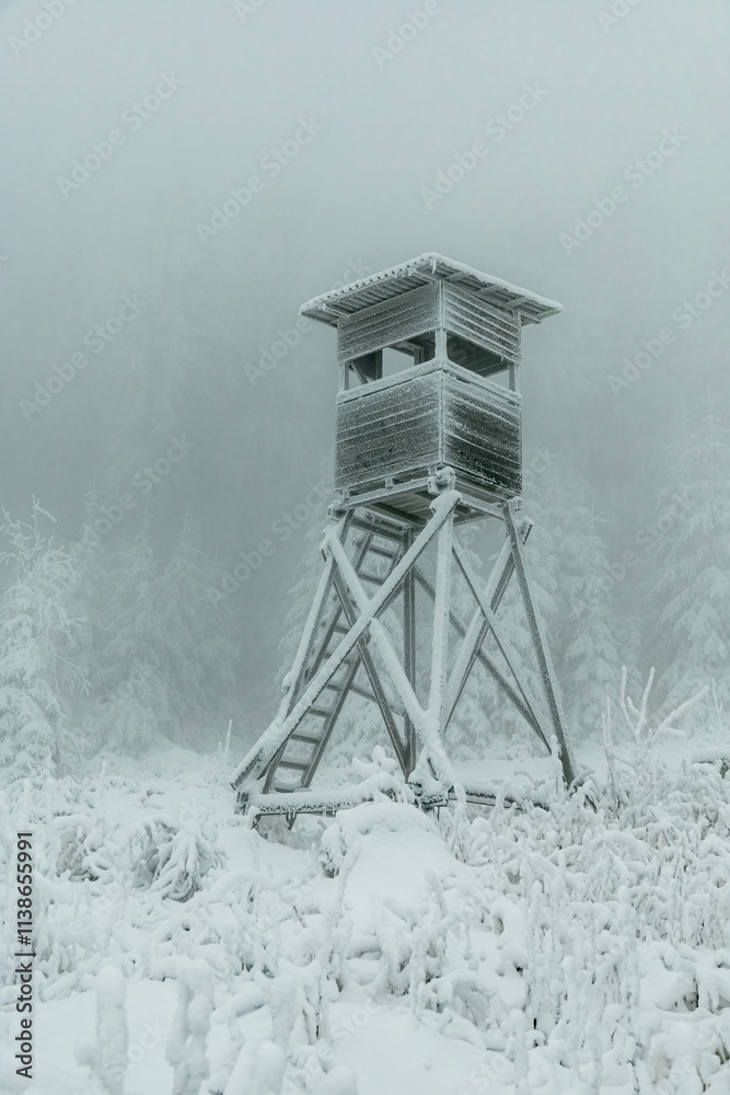 Winterwanderung durch den Thüringer Wald bei Oberhof und dem Kanzlersgrund bei winterlichen Wetter - Thüringen - Deutschland