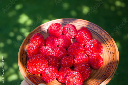 Hawaiian raspberry. Rubus illecebrosus. 
A woman holds a plate with fresh and ripe red balloon berries. Selective focus.