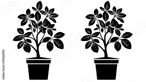 Euphorbia plants with milky sap for rubber production, Plant Digital Art