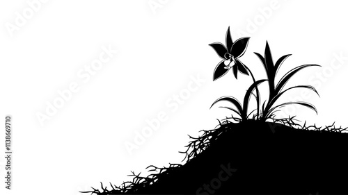 Ghost orchid bud emerging from root mass, Plant Digital Art
