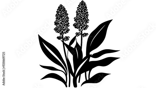 Ginger plant with cone-shaped flower in clearing, Plant Digital Art