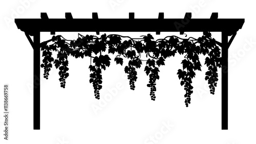 Grape vines trained on pergola over courtyard patio, Plant Digital Art